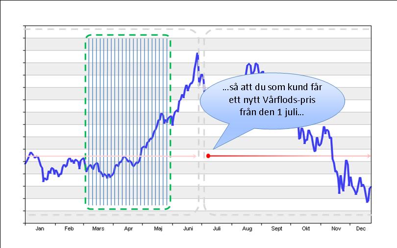 Bild 31.jpg