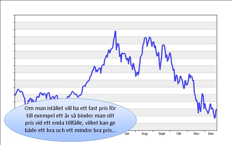 Bild 13.jpg